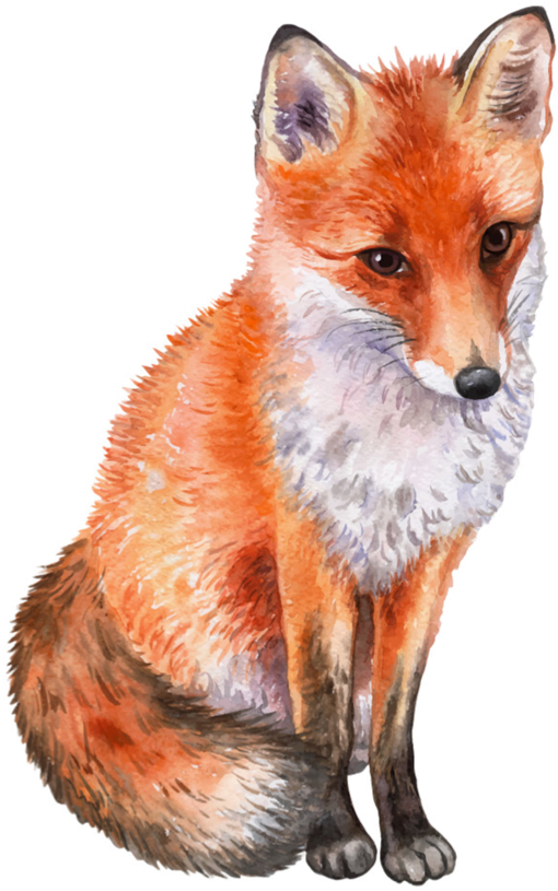 fox